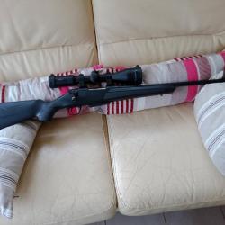Winchester XPR 243   + Lunette Hawke 22 balles