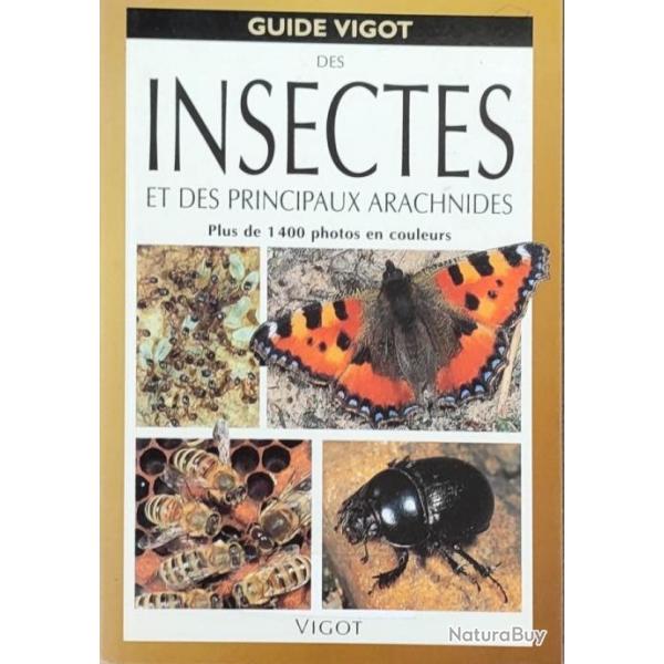 Guide Vigot des insectes et des principaux arachnides Par Heiko Bellmann | ENTOMOLOGIE