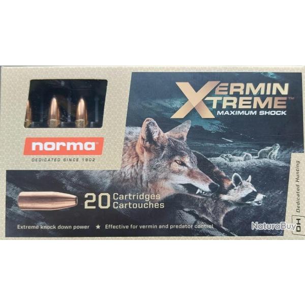 Norma 243win vermin xtrem 76gr munitions cartouches