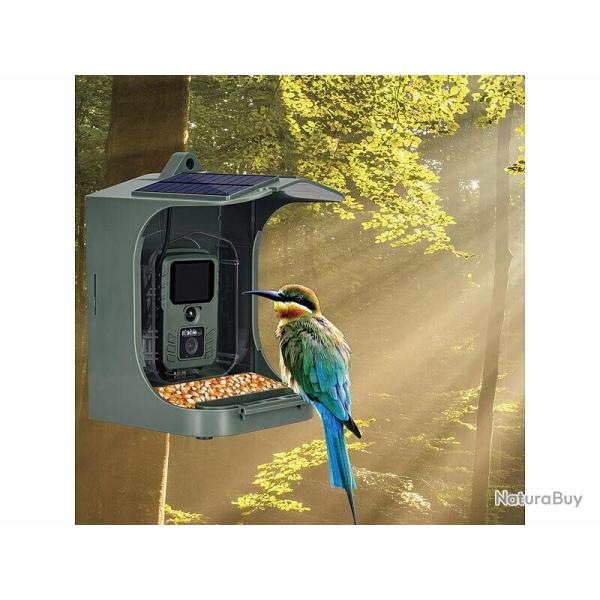 Camera d'observation Mangeoire  oiseaux avec camra Full HD connecte solaire FRANCAIS