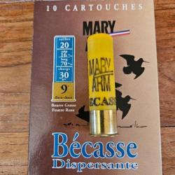 Mary bécasse dispersante