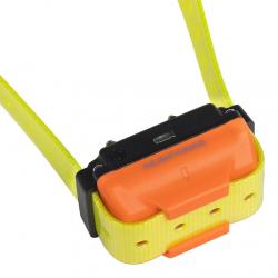 Collier supplémentaire de dressage Num'axes Canicom R jaune