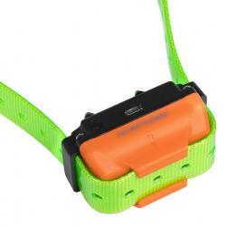 Collier supplémentaire de dressage Num'axes Canicom R vert fluo