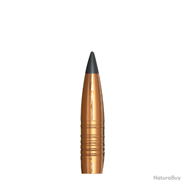 Projectiles SAX en 9,5 mm (.375) KJG-S (21,8 g) boite de 50x