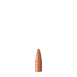 Projectiles SAX en 5,6 mm (.228) KJG-HSR 5,6x52 R (3,0 g) boite de 50x
