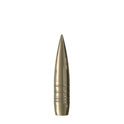 Projectiles SAX en 11,65 mm (.460 Steyr) MSG-SL (36,0 g) boite de 50x