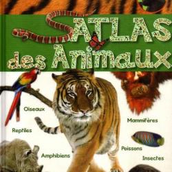 atlas des animaux + le dauphin + le petit ours , 3 livres jeunesse