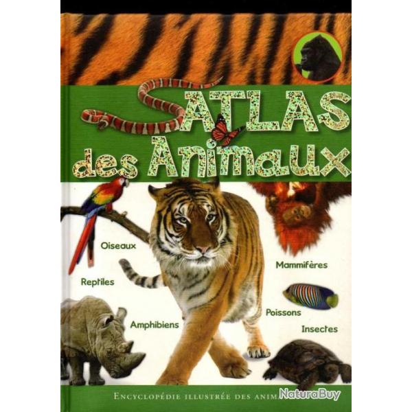 atlas des animaux + le dauphin + le petit ours , 3 livres jeunesse