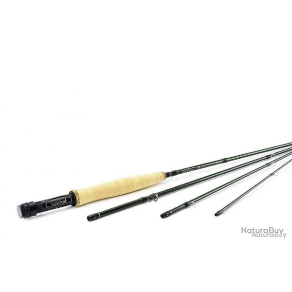 CANNES T36 | T36 RODS devaux 9p doie de 4/5