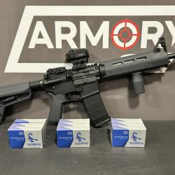 Occasion Pack DPMS A-15 Custom Magpull Cal 223rem + Munitions