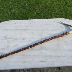 Exceptionnel rare canne ancienne en andouiller corne de cerf avec fût en bois de ronce - Angleterre