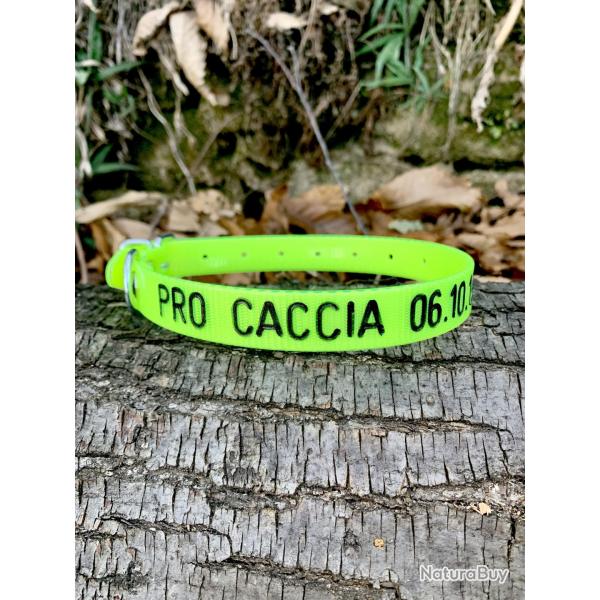 Collier chien GRAV PERSONNALIS - 45x1,9cm Orange