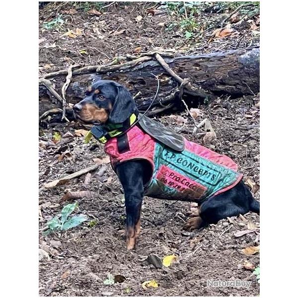 Gilet de protection pour chien CAUMONT FP.CONCEPTS Bruno 2