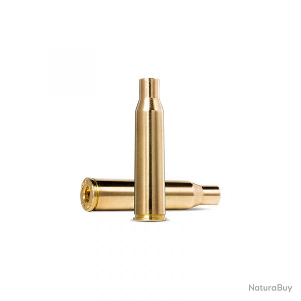 100 DOUILLES NORMA CAL 6.5 JAP / 6,5 X 51 R (ARISAKA) 100
