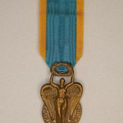 Médaille ordre du mérite sportif