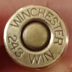243 winchester ( Winchester )