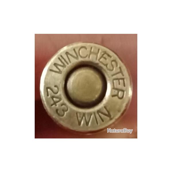 243 winchester ( Winchester )