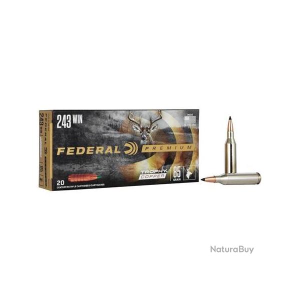 Munitions Federal Premium Ogive Trophy Bonded Tip - Cal. 243 Win.
