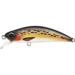 RYUKI 50 SK SPEARHEAD - ACCZ283 BROWN GOBIE