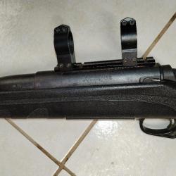 carabine remington 770 cal 300 WM