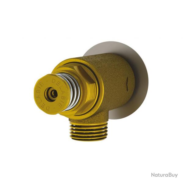 Robinet mural Delabie Tempostop 3l/min pour lave-mains temporis
