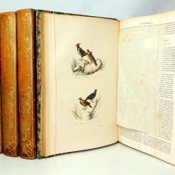 uvres complètes de Buffon. 165 planches en couleurs gommées 6/6 vols 1839.