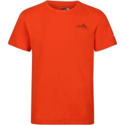 T shirt Regatta Breezed III orange