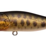 Leurre Megabass Pop Max Flottant 78mm 14g GG Bass - Topwater Neuf