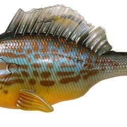 MEGABASS SLEEPER GILL 21G PUMPKIN SEED