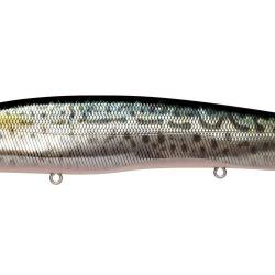 Leurre MEGABASS Kanata SW FA SABA