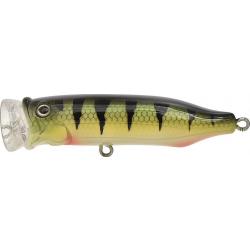 Leurre TACKLE HOUSE Feed Popper 70 PERCH