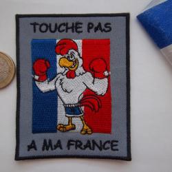 écusson collection patriotique France insigne tissu