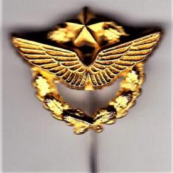 Pilote Armée de l'Air. brevet. doré à l'or fin. insigne de boutonnière épinglette. SM.
