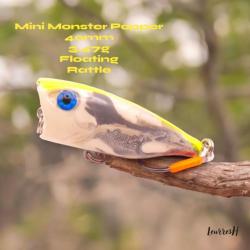Découvrez "Angry Bird" Mini Monster - Leurre Dur de Pêche Popper Flottant - Artisanal et Unique