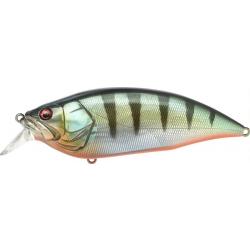 BIG M 2.0 - GG RED FIN PERCH ( SP-C )