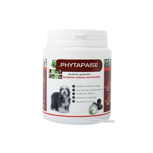 PHYTAPAISE CHIEN