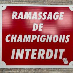 PANCARTE  RAMASSAGE DE CHAMPIGNON INTERDIT