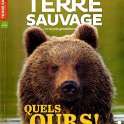 terre sauvage quels ours , asturies, yellowstone , alaska , mars 2022