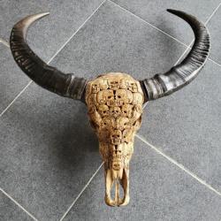 Sculpture -massacre - Crâne De Buffle - Sculpté - Décors de Tètes de morts