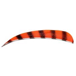 BUCK TRAIL - Plumes Naturelles Paraboliques 5" RH Barred BARRED RED
