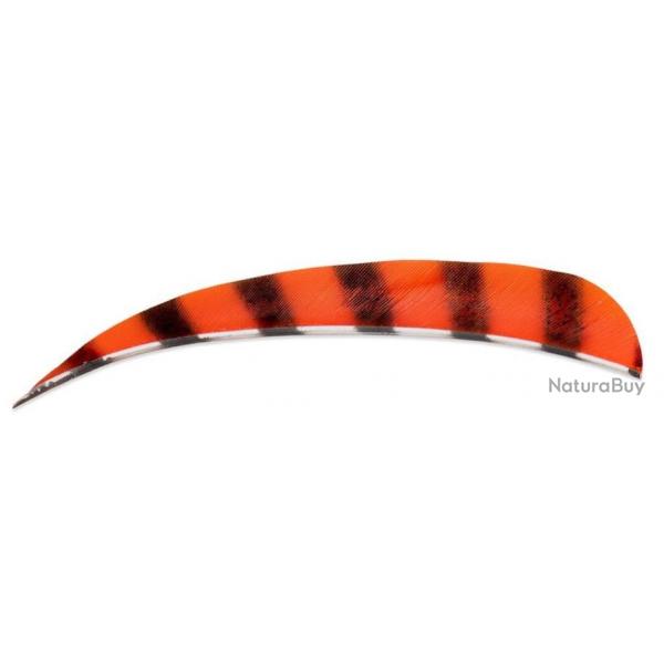 BUCK TRAIL - Plumes Naturelles Paraboliques 5" RH Barred BARRED RED