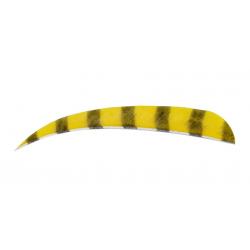 BUCK TRAIL - Plumes Naturelles Paraboliques 5" RH Barred BARRED YELLOW