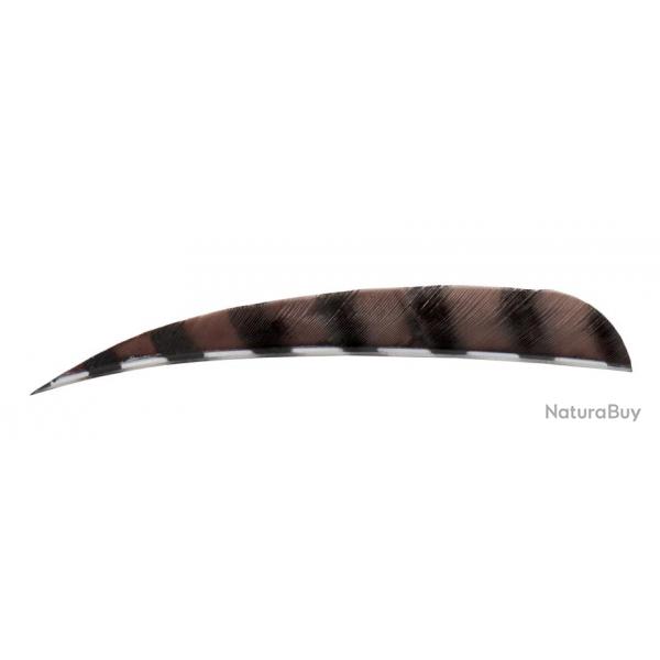 BUCK TRAIL - Plumes Naturelles Paraboliques 5" RH Barred BARRED BROWN