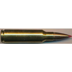 (11241) Une 300 RCP par Hornady