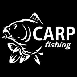 Autocollants pêche CARP FISHING  voiture camping car ou autres noir ou blanc ! B