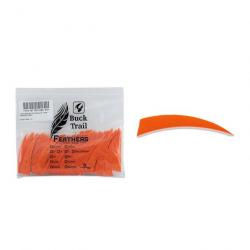 Lot de 100 plumes shield Buck Trail RW 3 pouces couleur unie Orange