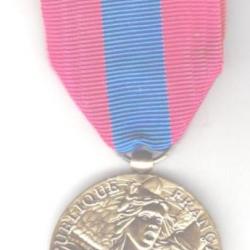 Médaille Défense Nationale "Bronze". Ordonnance. Etat neuf.
