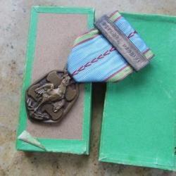 ordre médaille de la libération (commémorative) barrette DEFENSE PASSIVE TBE+ boite seconde guerre