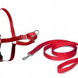 Harnais Easy Walk chien - Rouge S