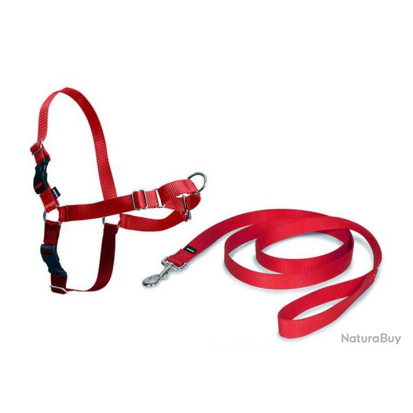 Harnais Easy Walk chien Rouge